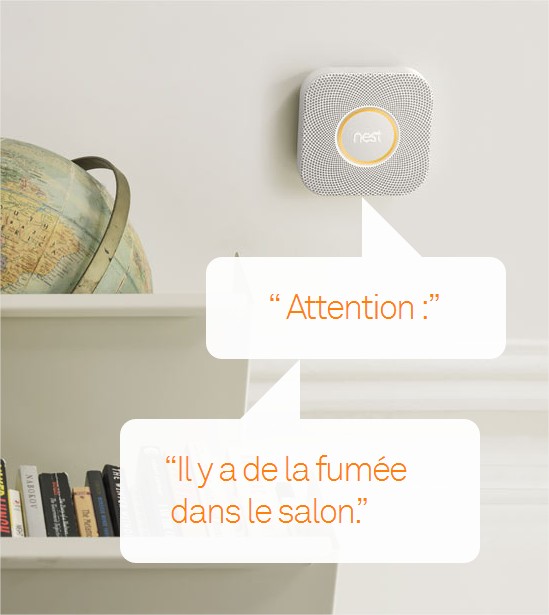 nest-descriptif-detecteur